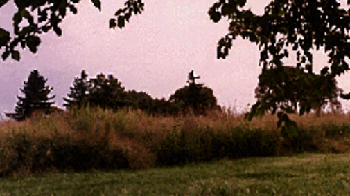 The Prairie