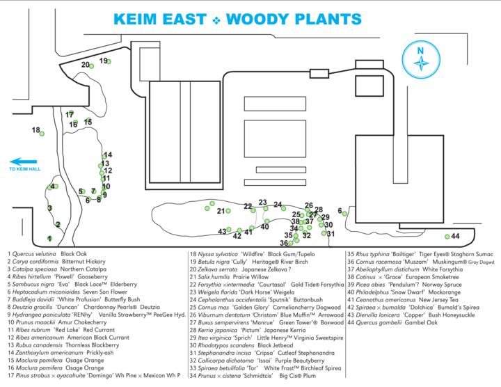 Keim East Woody Plants